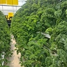 Agriculture Equipment Greenhouse Accessories Vertical Farming  Super NFT Channel Growing System